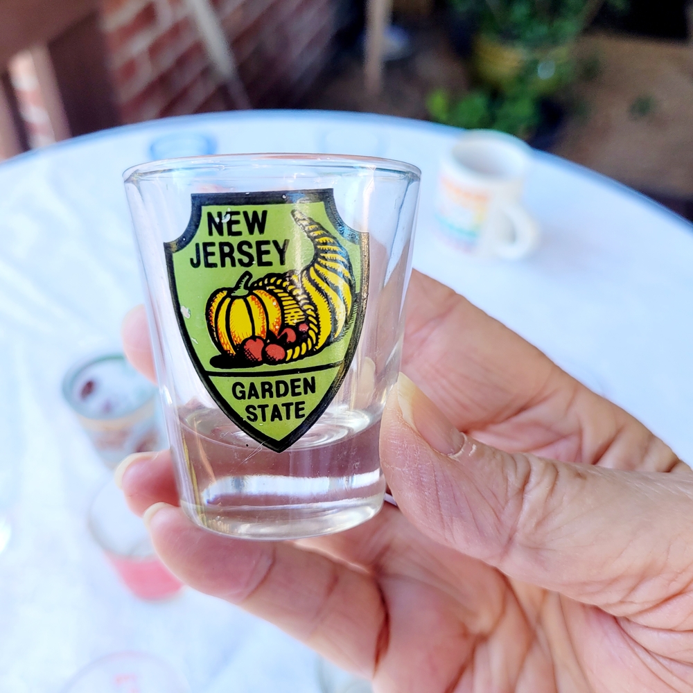 Assorted Shot Glass Set - Picture 12 of 16